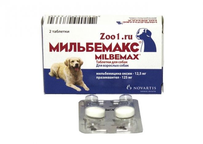 мильбемакс от глистов для собак мильбемакс от глистов для собак