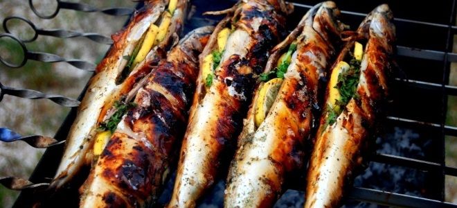 Шашлык из скумбрии рецепт Шашлык из скумбрии рецепт