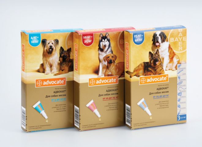 адвокат от глистов для собак адвокат от глистов для собак