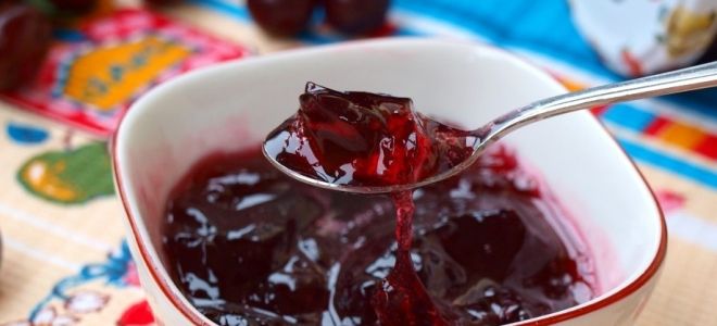 варенье из вишни без косточек с желфиксом варенье из вишни без косточек с желфиксом