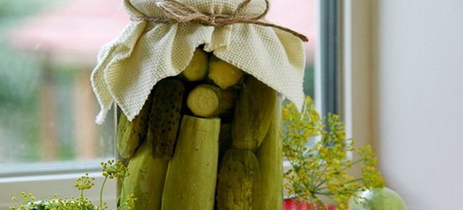 маринованные огурцы с кабачками на зиму маринованные огурцы с кабачками на зиму