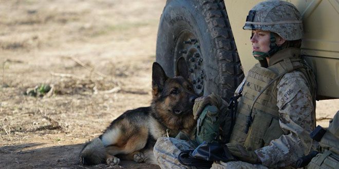 меган ливи меган ливи