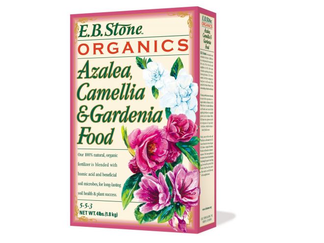 Удобрения для гардении Удобрения для гардении