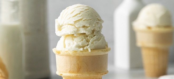 фото15 как приготовить мороженое без сахара