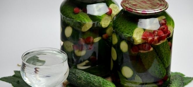 маринованные огурцы на зиму с красной смородиной маринованные огурцы на зиму с красной смородиной
