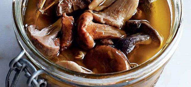 рецепт приготовления жареных опят на зиму рецепт приготовления жареных опят на зиму