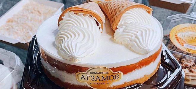 торт пломбир от рената агзамова торт пломбир от рената агзамова