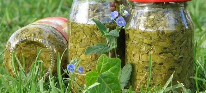 заготовка для зеленого борща на зиму заготовка для зеленого борща на зиму