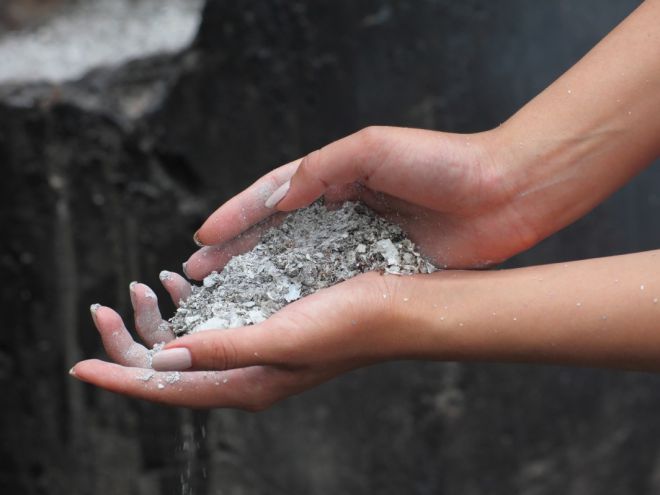 Чем подкормить садовые лилии Чем подкормить садовые лилии