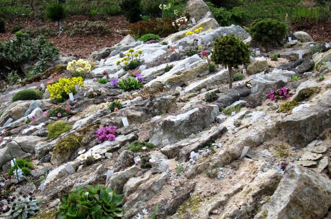 альпийская горка на даче своими руками альпийская горка на даче своими руками