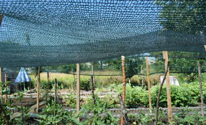 что такое затеняющая сетка что такое затеняющая сетка