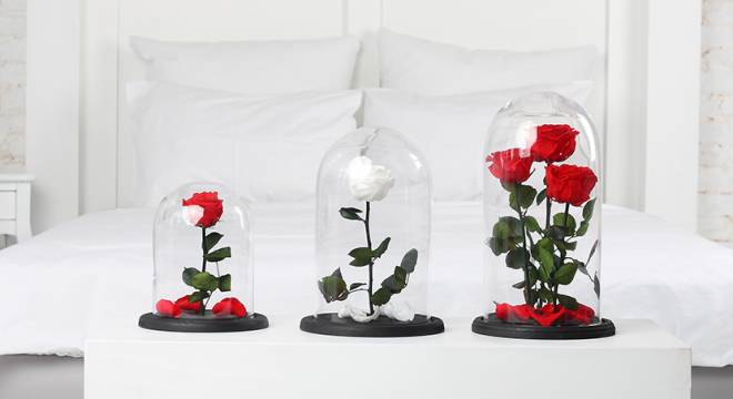 цветы в колбе описание роза цветы в колбе описание роза