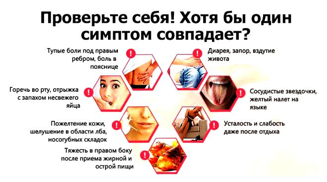 гепатопротекторы для печени гепатопротекторы для печени