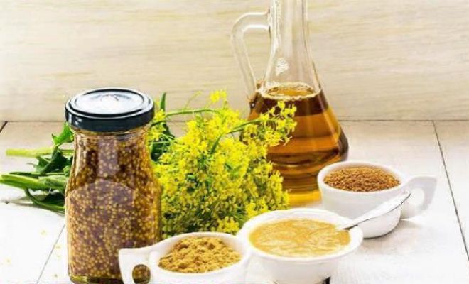 горчица польза и вред горчица польза и вред