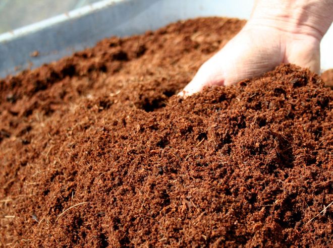 как получают кокосовый торф как получают кокосовый торф