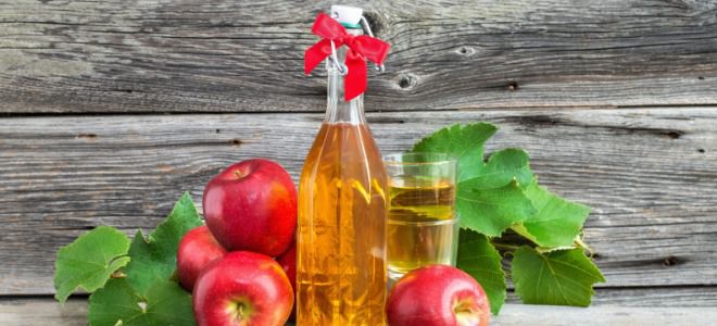Как приготовить яблочный уксус Как приготовить яблочный уксус