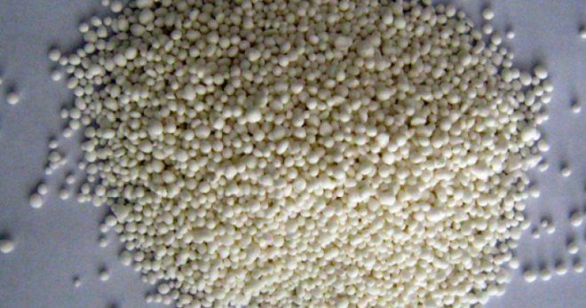 Кальциевая селитра - применение для томатов Кальциевая селитра - применение для томатов