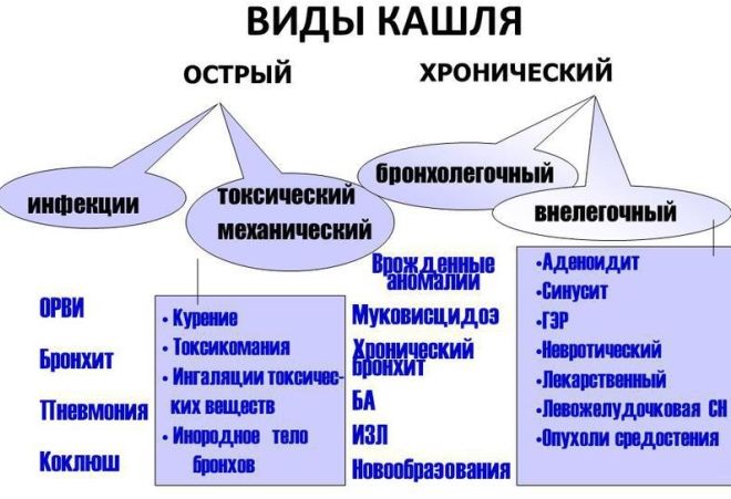 кашель во время сна причины кашель во время сна причины