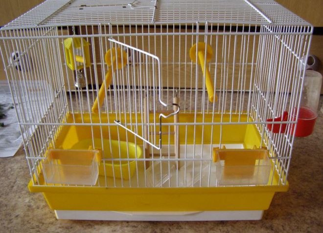 клетка для кореллы клетка для кореллы