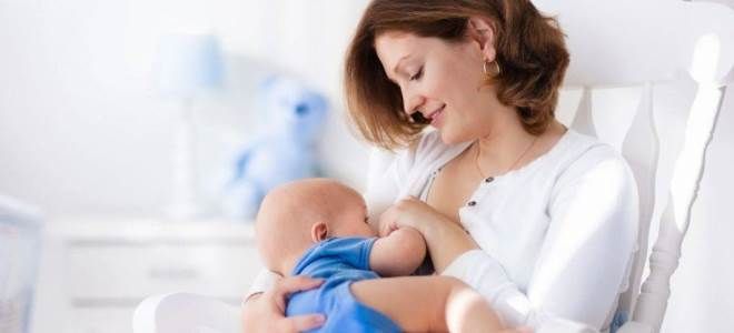 малина польза для женщин малина польза для женщин