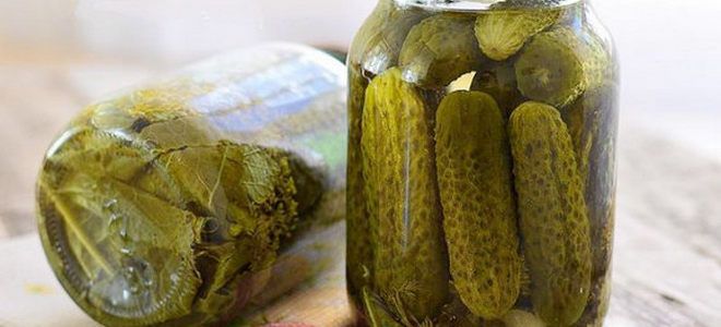 маринованные малосольные огурцы на зиму маринованные малосольные огурцы на зиму