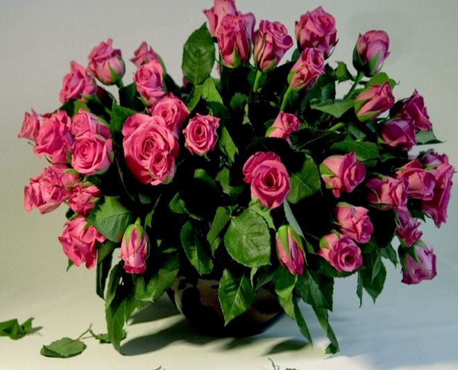 можно ли вырастить розу из букета можно ли вырастить розу из букета