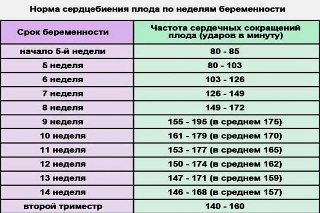 норма чсс у плода по неделям норма чсс у плода по неделям