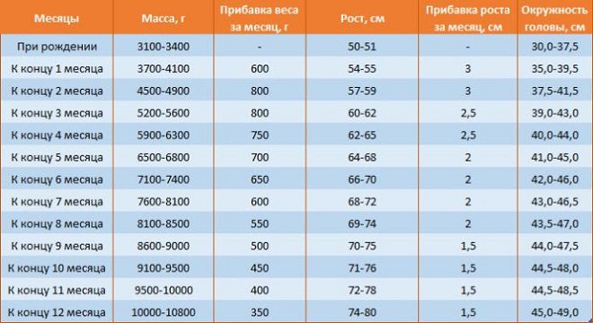 развитие ребенка в 1 год развитие ребенка в 1 год