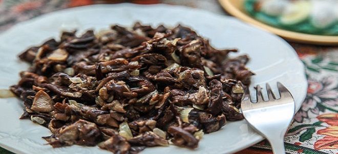 рецепт жареных опят на сковороде с луком рецепт жареных опят на сковороде с луком