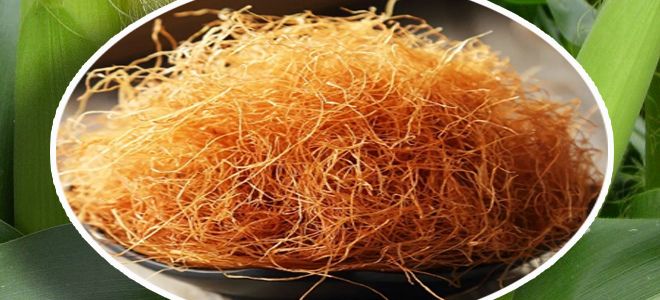 рыльца кукурузы лечебные свойства и противопоказания рыльца кукурузы лечебные свойства и противопоказания