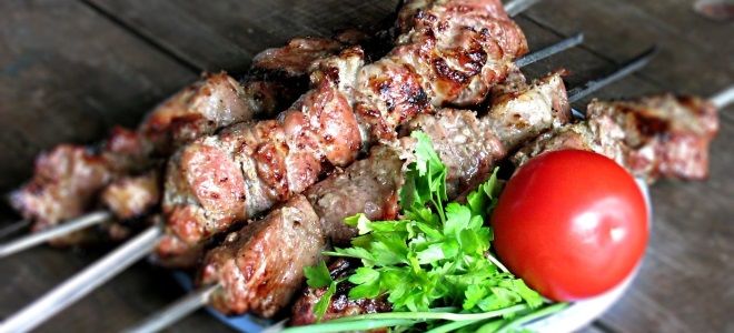 Шашлык из свинины рецепт Шашлык из свинины рецепт