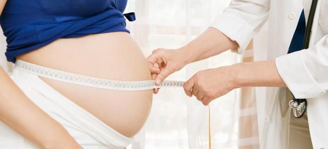 вес по неделям вес по неделям