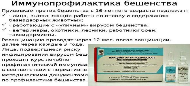 фото1 живая антирабическая вакцина