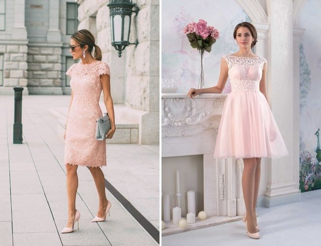 бледно розовый цвет бледно розовый цвет