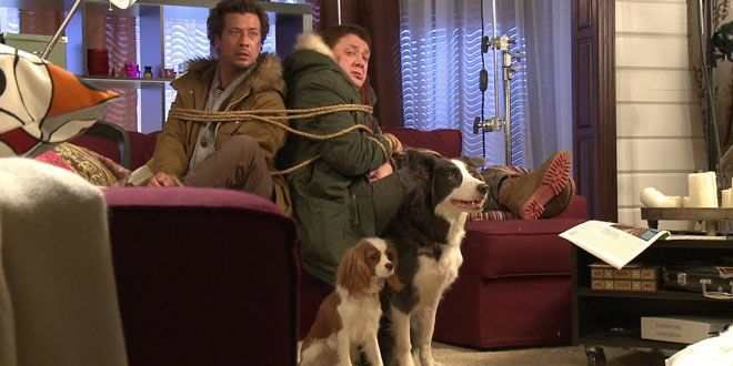 елки лохматые елки лохматые