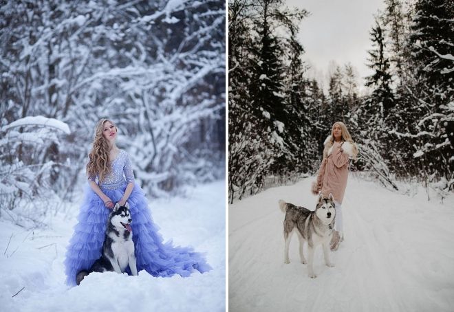 фотосессия с хаски зимой фотосессия с хаски зимой