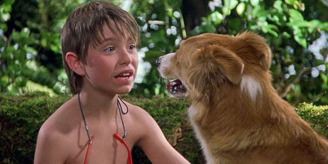 мой пес бинго мой пес бинго