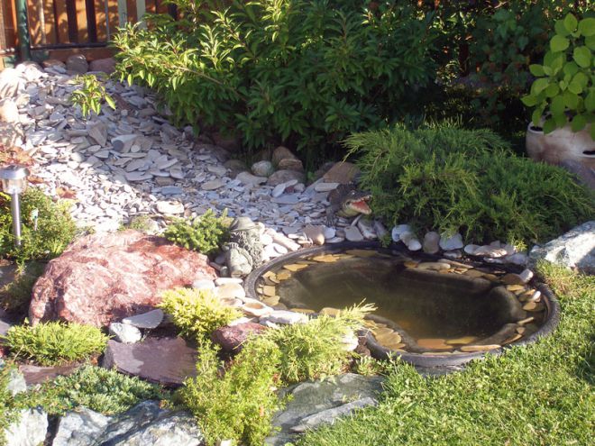 альпийская горка на даче из ванны альпийская горка на даче из ванны