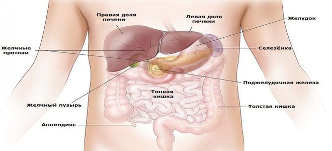 болит бок справа спереди болит бок справа спереди