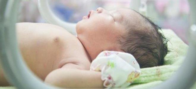 церебральная ишемия новорожденных церебральная ишемия новорожденных