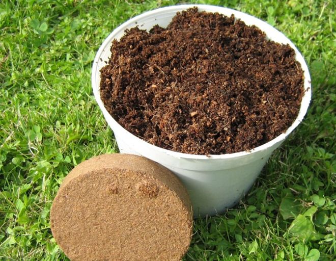 для чего нужен кокосовый торф для чего нужен кокосовый торф