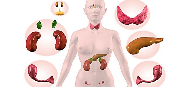 фото2 эндокринные заболевания человека