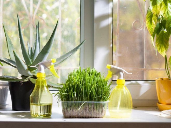 Как увлажнить воздух летом Как увлажнить воздух летом