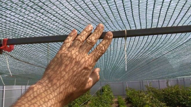 как выбрать затеняющую сетку как выбрать затеняющую сетку