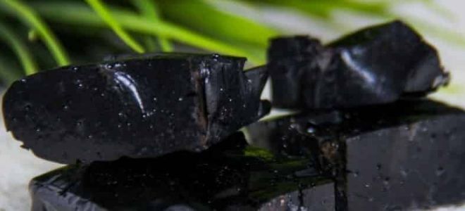 мумие противопоказания мумие противопоказания