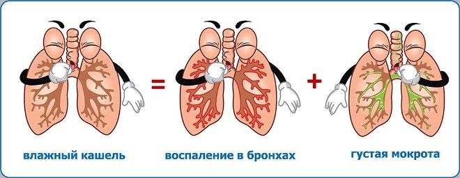 ночной влажный кашель ночной влажный кашель