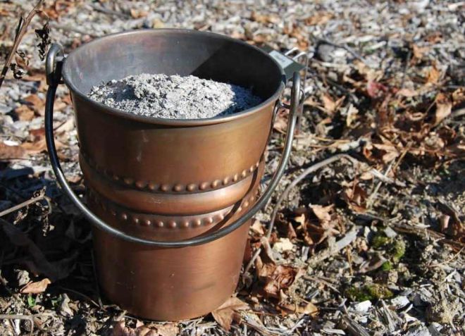 подкормка чеснока золой в июне подкормка чеснока золой в июне