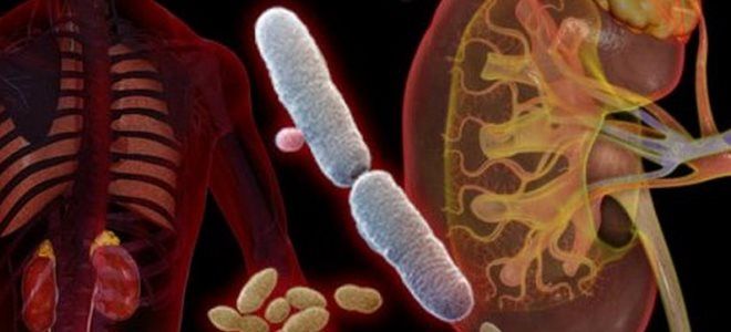 препарат глево препарат глево