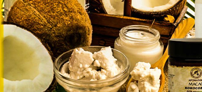 рецепты масок с кокосовым маслом для волос рецепты масок с кокосовым маслом для волос
