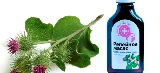 репейное масло от выпадения волос репейное масло от выпадения волос